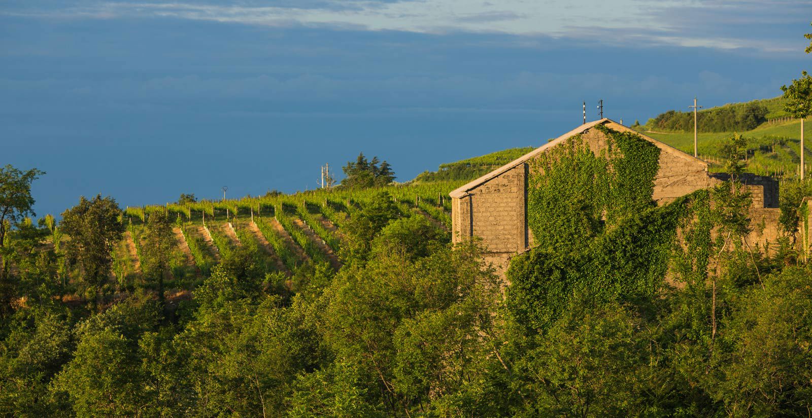 Your time at Magari Estates is about getting away from it all 7 Your time at Magari Estates is about getting away from it all 7